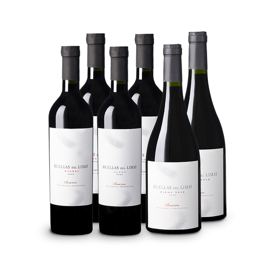 Mix Huellas del Limay